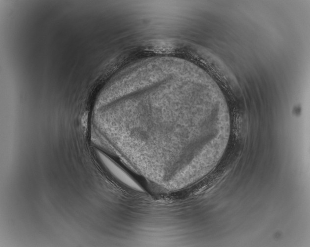 X0000097610697200803211723