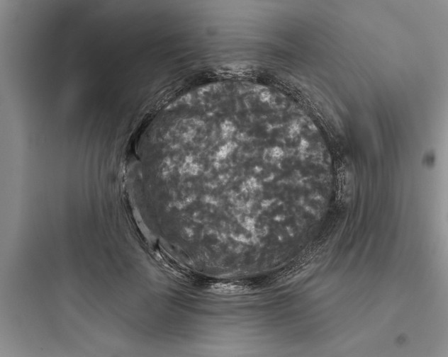 X0000097610699200803211723