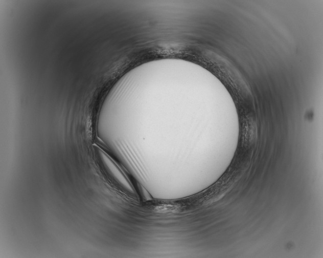 X0000097610700200803211723