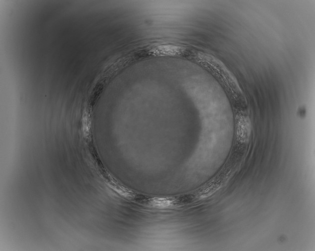 X0000097610701200803211723