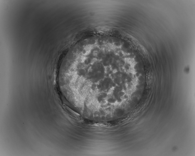 X0000097610703200803211723