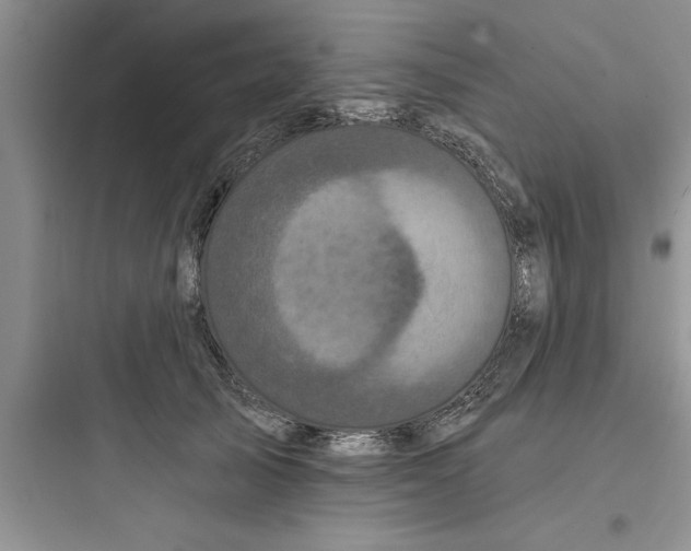 X0000097610705200803211723