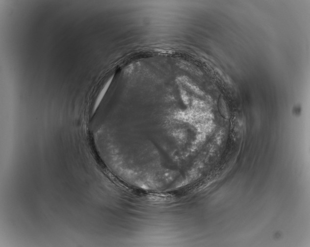 X0000097610707200803211723