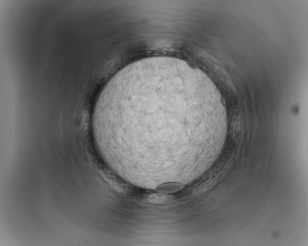 X0000097610708200803211723