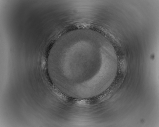 X0000097610709200803211723