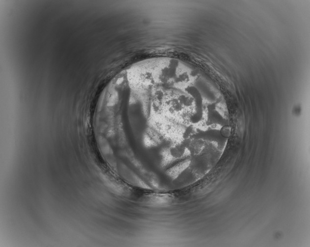 X0000097610711200803211723