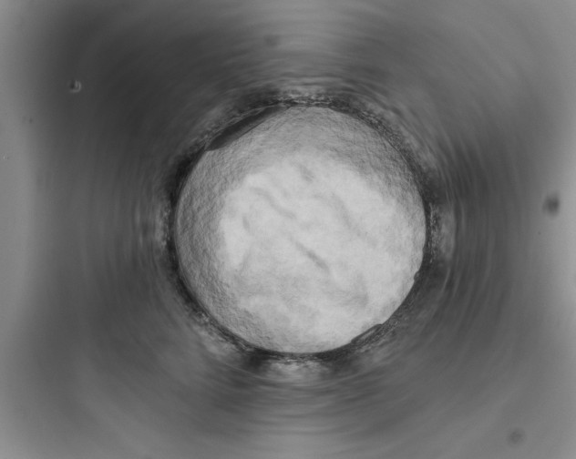 X0000097610712200803211723