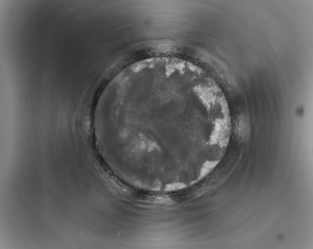 X0000097610715200803211723