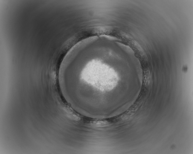 X0000097610716200803211723