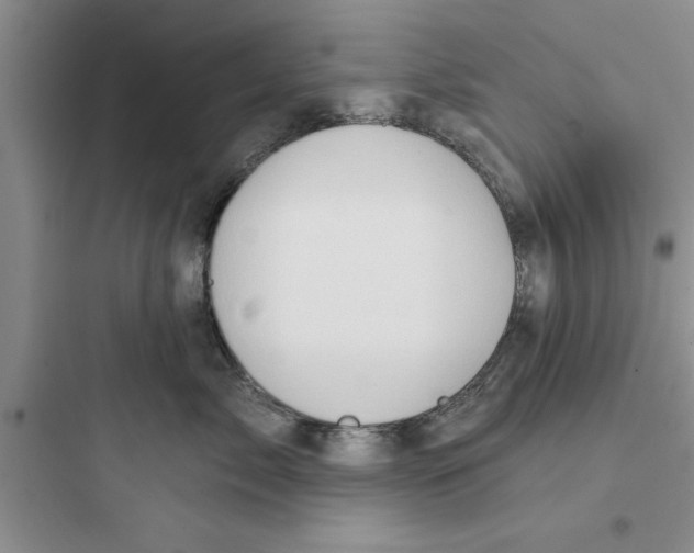 X0000097610717200803211723