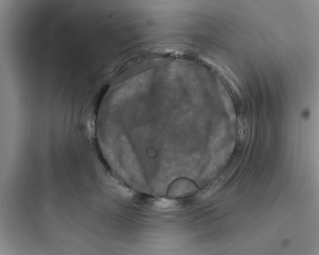 X0000097610718200803211723