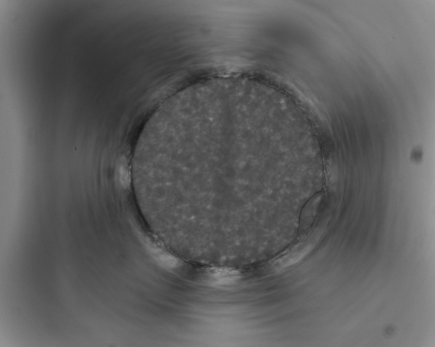 X0000097610719200803211723