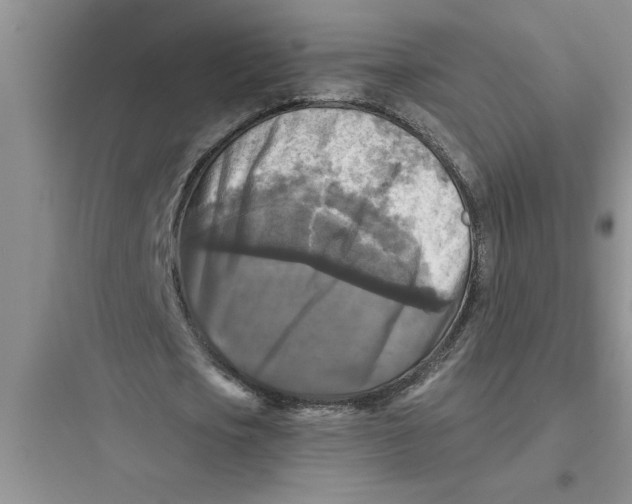 X0000097610721200803211722