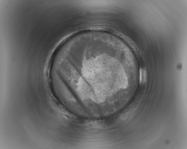 X0000097610723200803211722