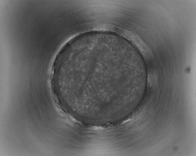 X0000097610724200803211722