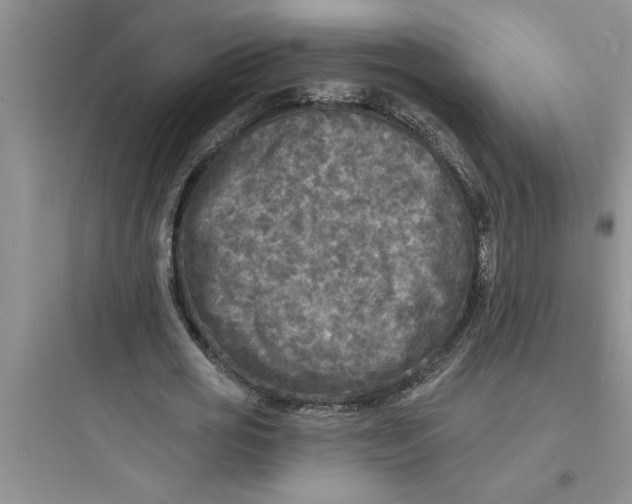 X0000097610725200803211722