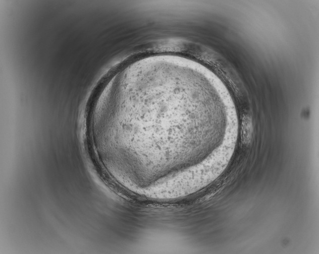 X0000097610726200803211722