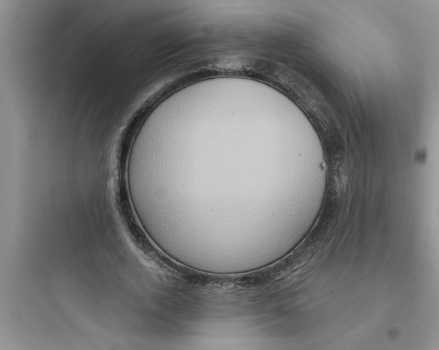 X0000097610728200803211722