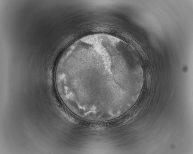 X0000097610729200803211722