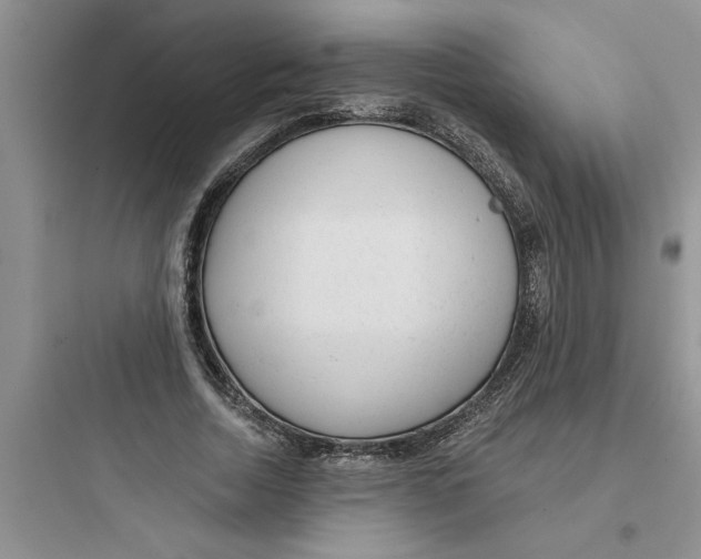 X0000097610730200803211722