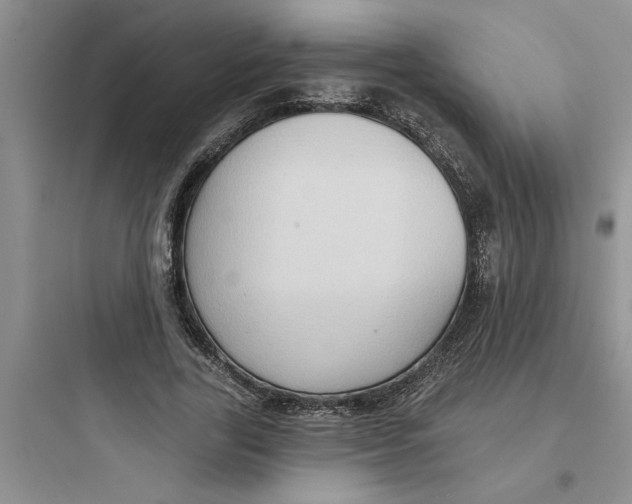 X0000097610731200803211722