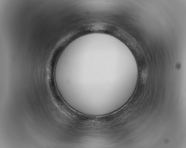 X0000097610732200803211722