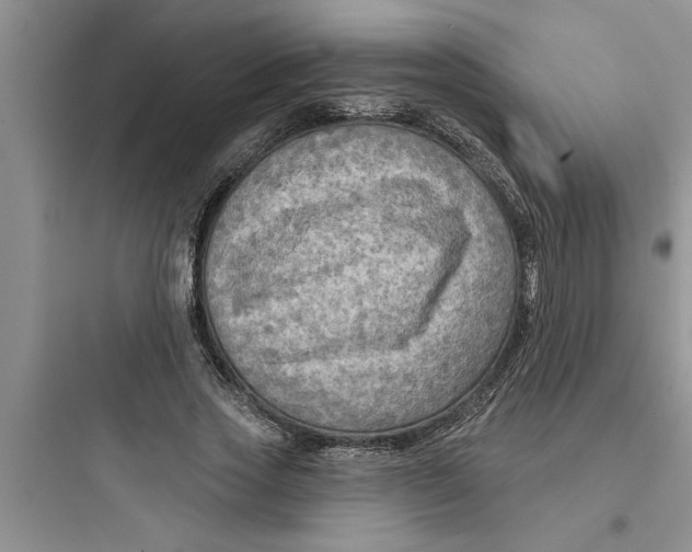 X0000097610733200803211722