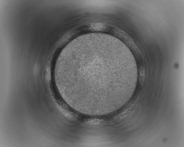 X0000097610734200803211722