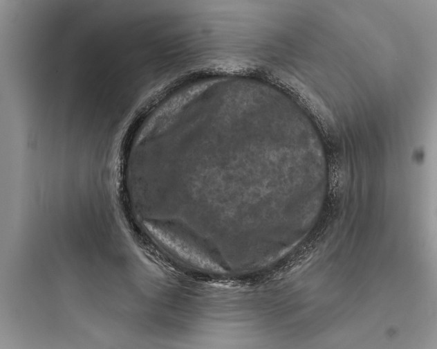 X0000097610736200803211722