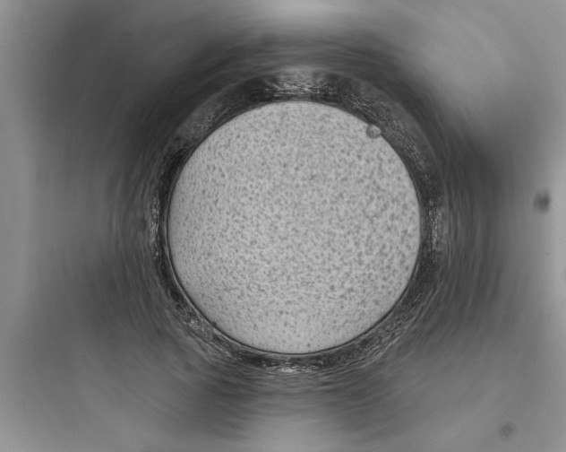 X0000097610737200803211722