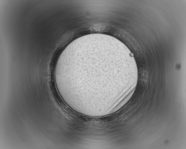 X0000097610738200803211722