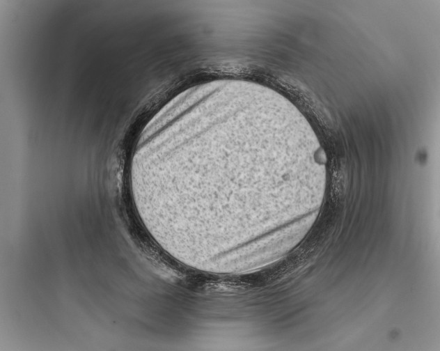 X0000097610739200803211722