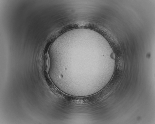 X0000097610740200803211722