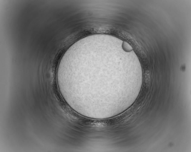 X0000097610741200803211722