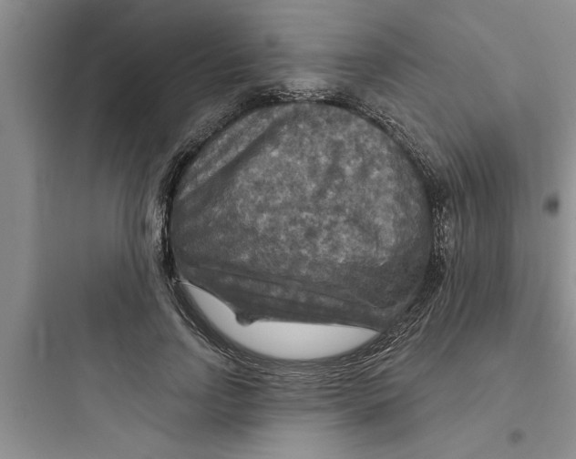 X0000097610742200803211722