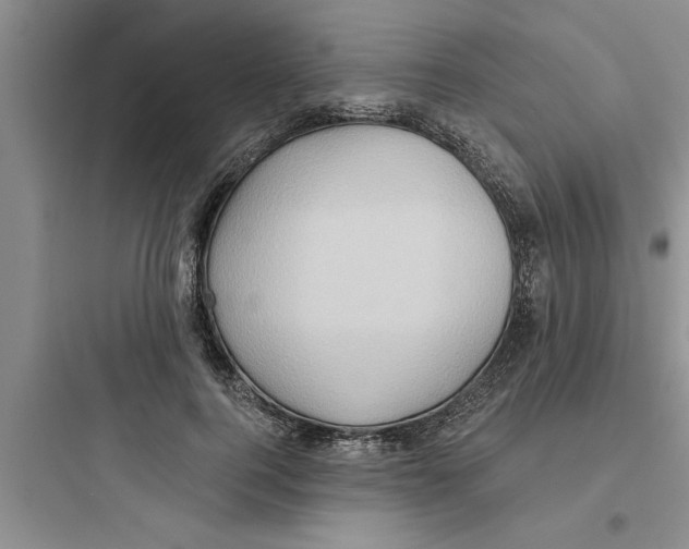 X0000097610744200803211722