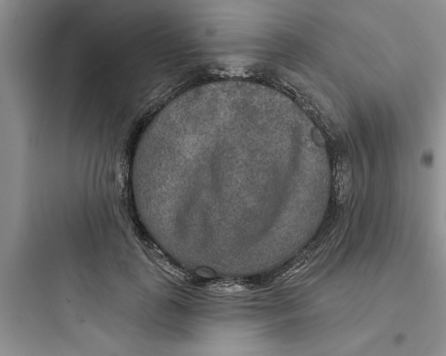 X0000097610747200803211722