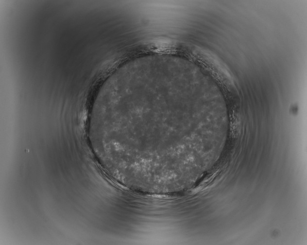 X0000097610748200803211722