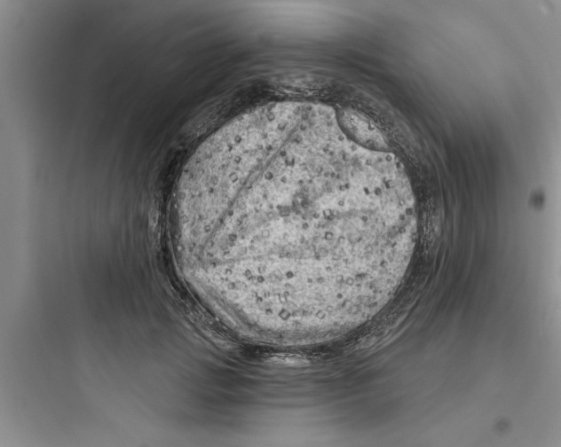 X0000097610749200803211722