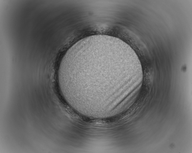 X0000097610750200803211722