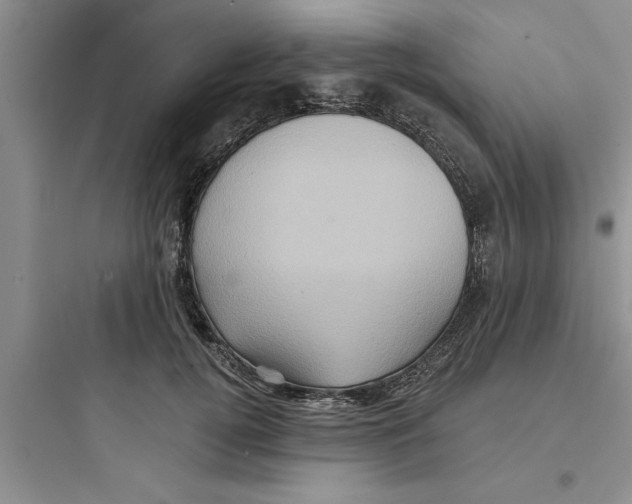 X0000097610752200803211722