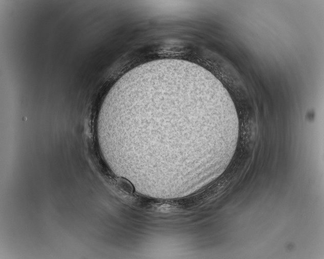 X0000097610755200803211723