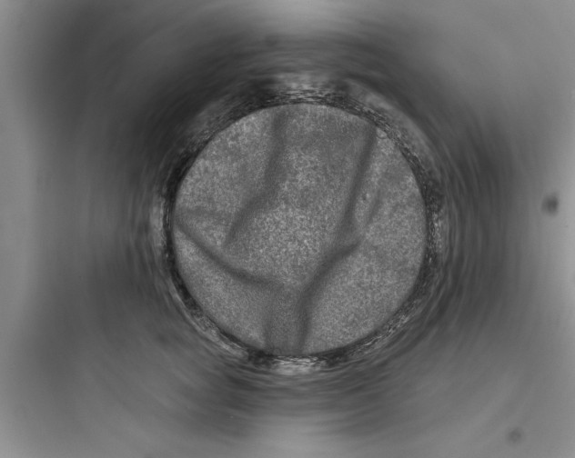 X0000097610757200803211723