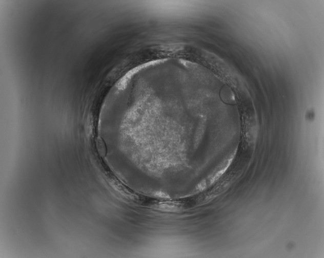 X0000097610758200803211723