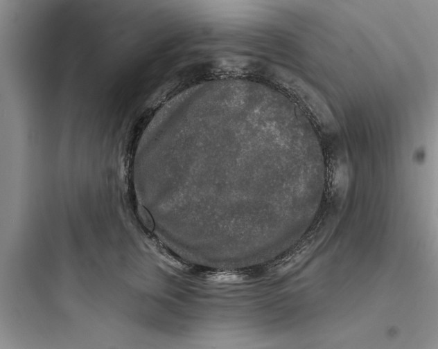 X0000097610759200803211723