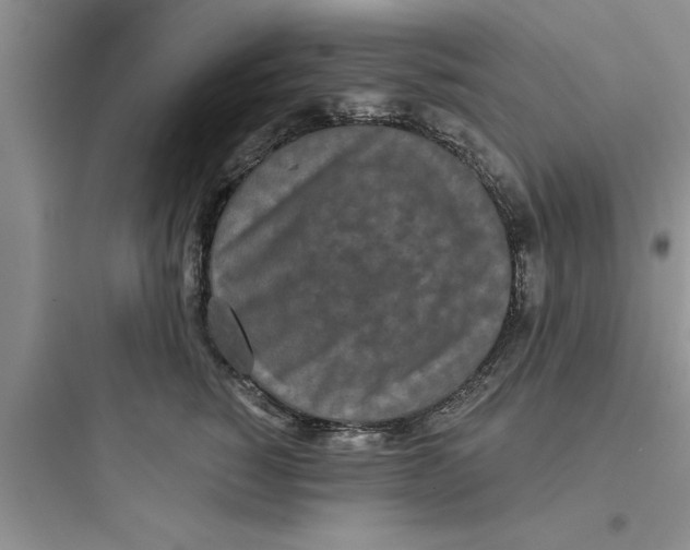 X0000097610760200803211723