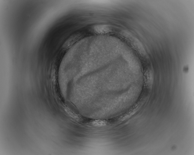 X0000097610762200803211723