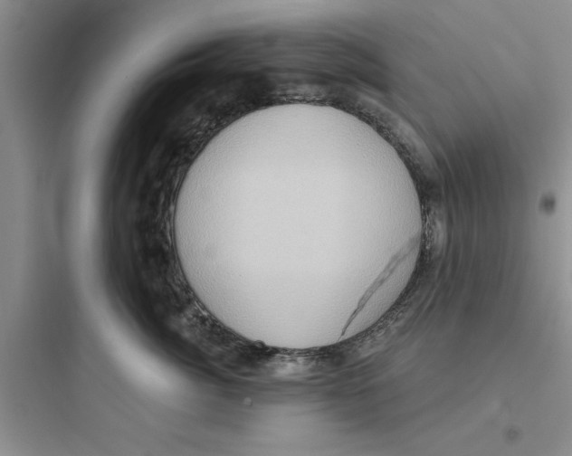 X0000097610764200803211723