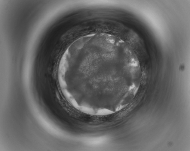 X0000097610765200803211723