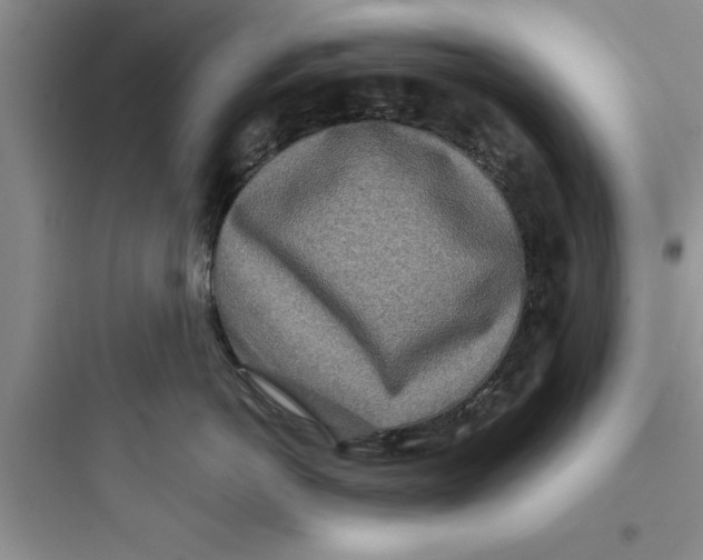 X0000097610766200803211723